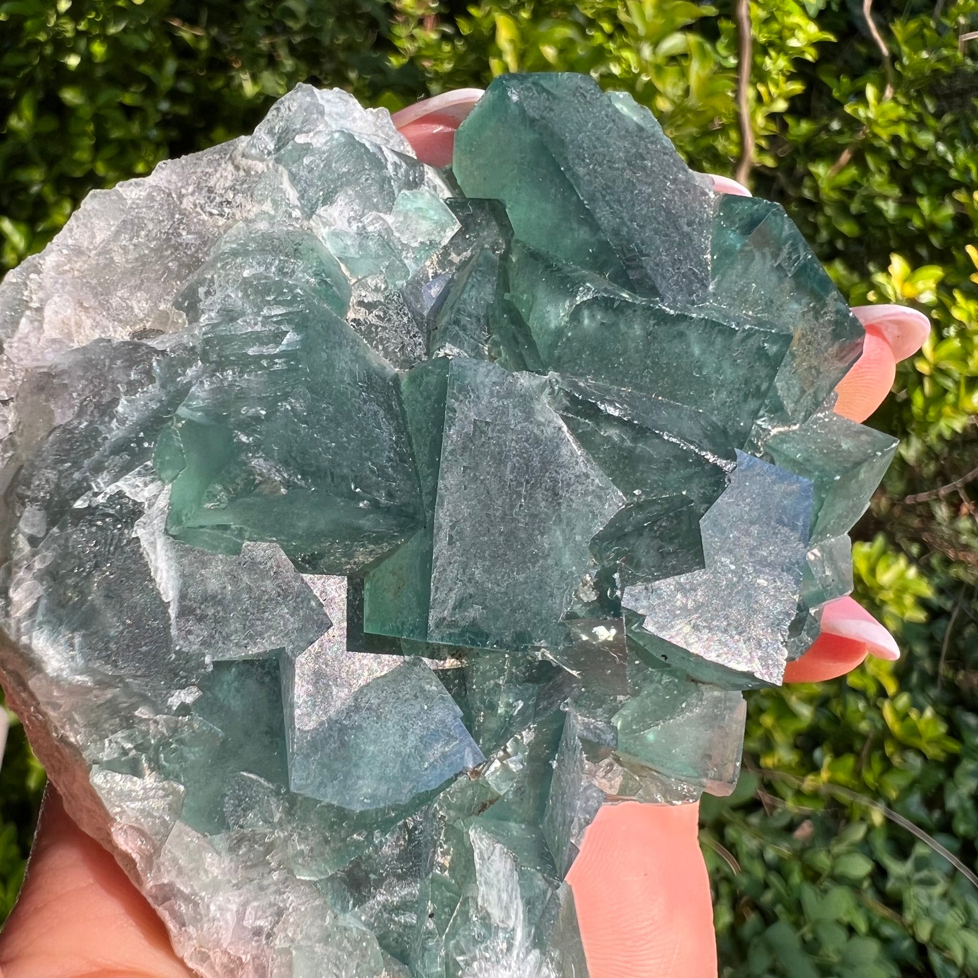 Raw Cubic Fluorite Cluster (#12) - Simply Affinity