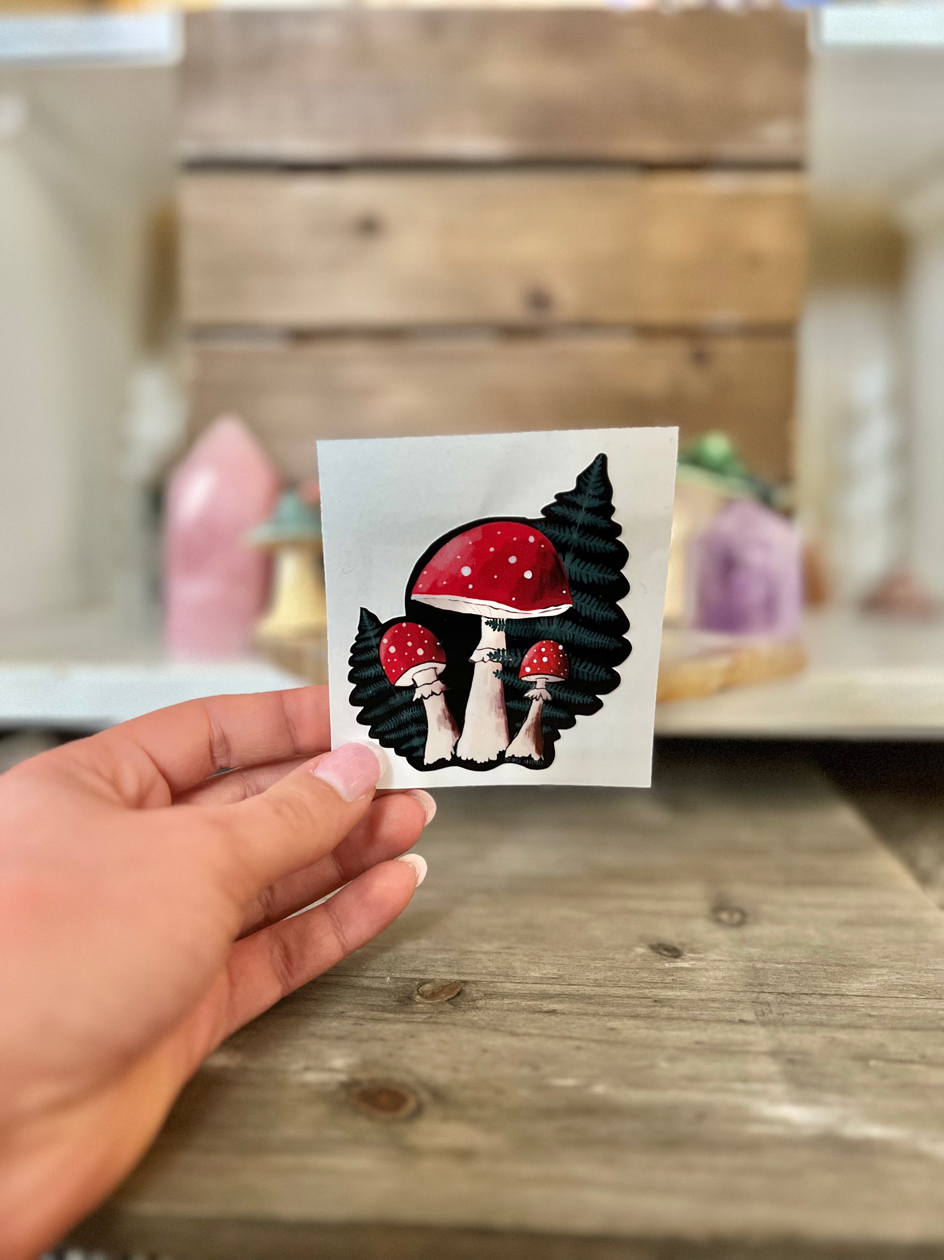 Red Mushrooms with Ferns Sticker - Simply Affinity