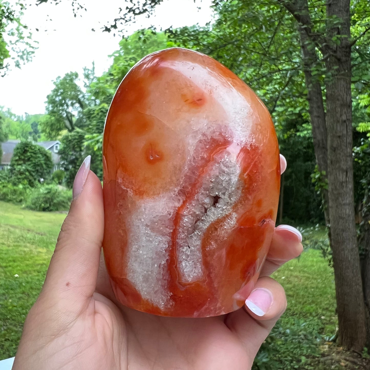 Carnelian Free Form (#4) - Simply Affinity