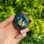 Rainbow Labradorite Palm Stone (#242) - Simply Affinity