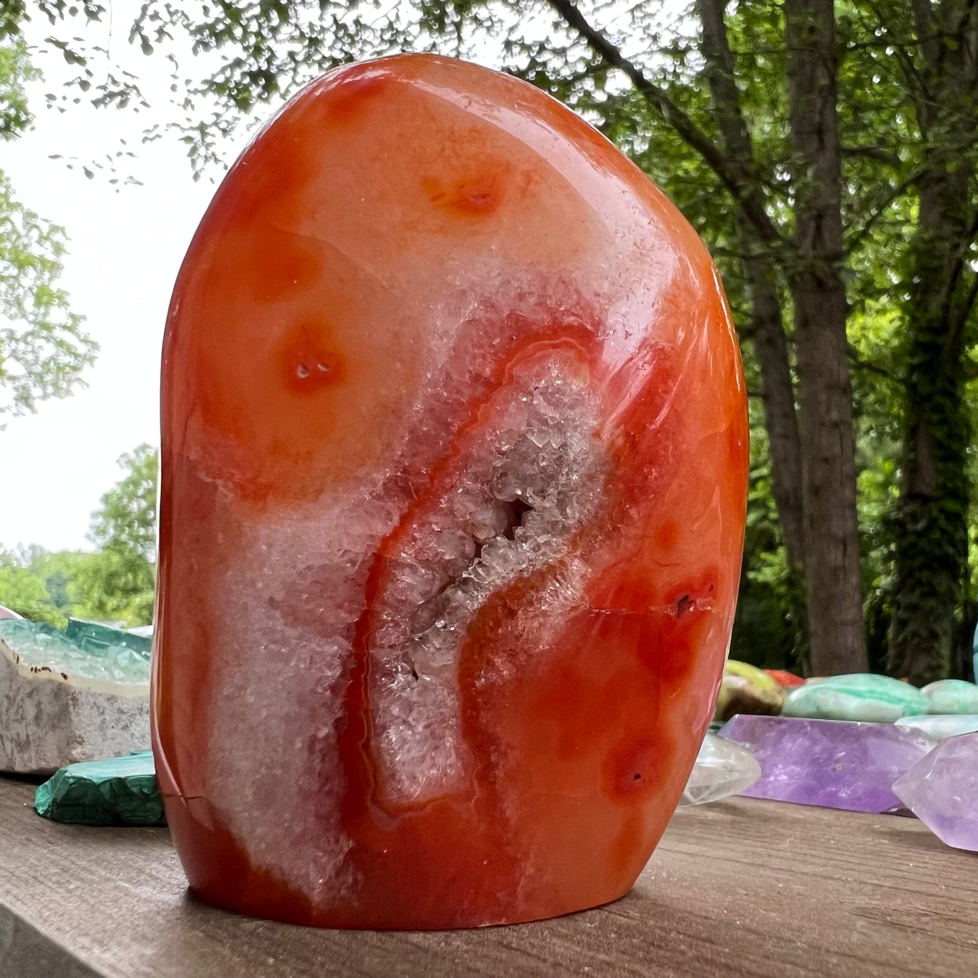 Carnelian Free Form (#4) - Simply Affinity