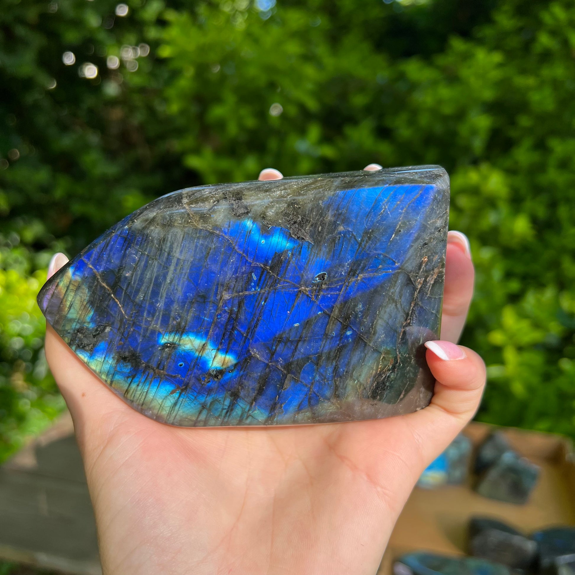 Labradorite Free Form (#5MTT) - Simply Affinity