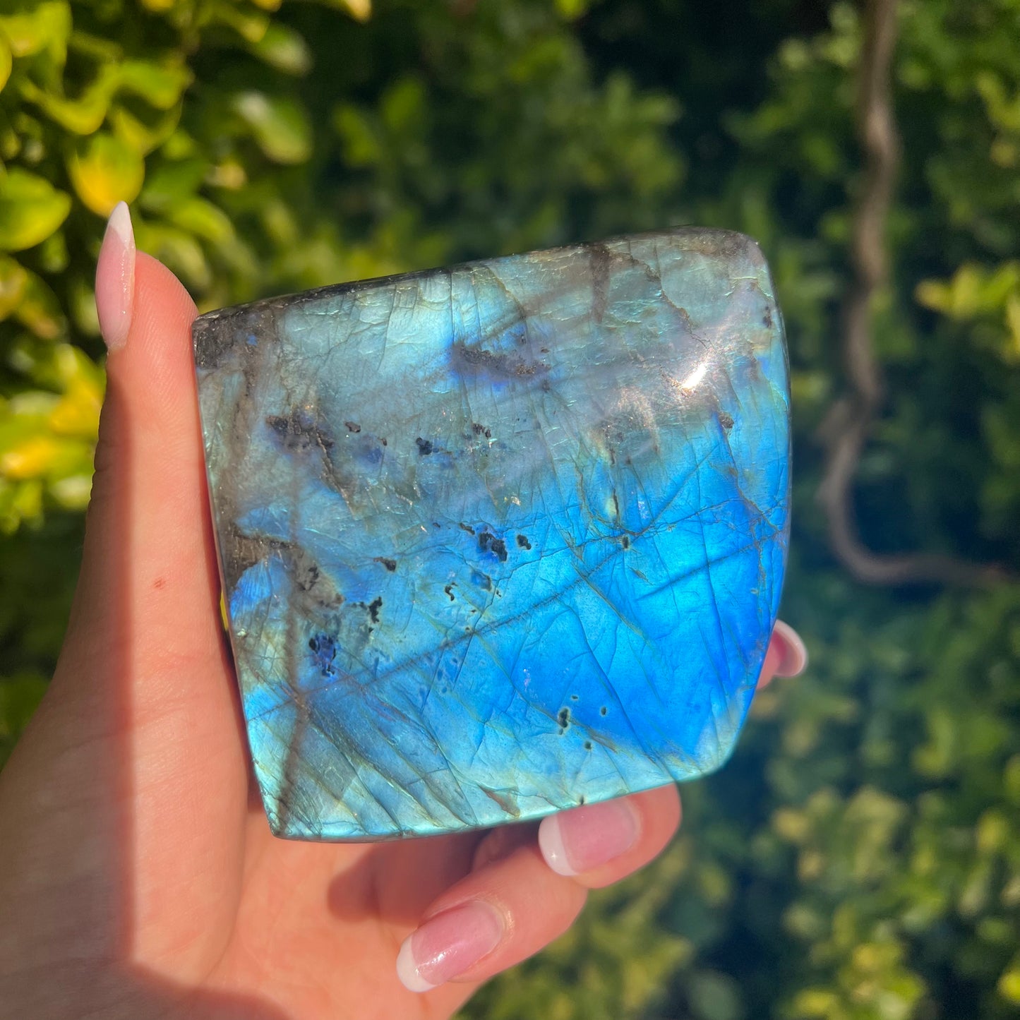 Labradorite Free Form (#1MTT) - Simply Affinity