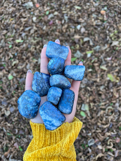 Sodalite Tumble Stone (1 piece intuitively chosen) - Simply Affinity