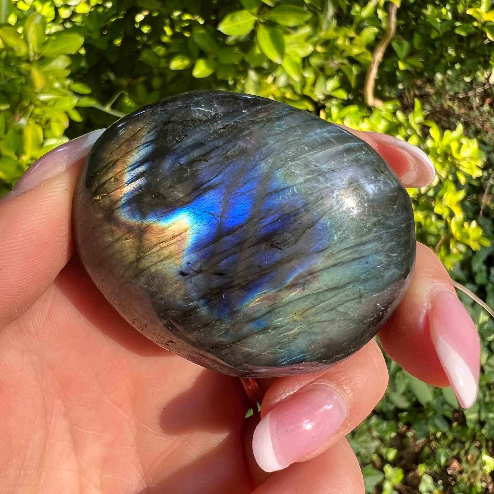 Labradorite Palm Stone (#290) - Simply Affinity
