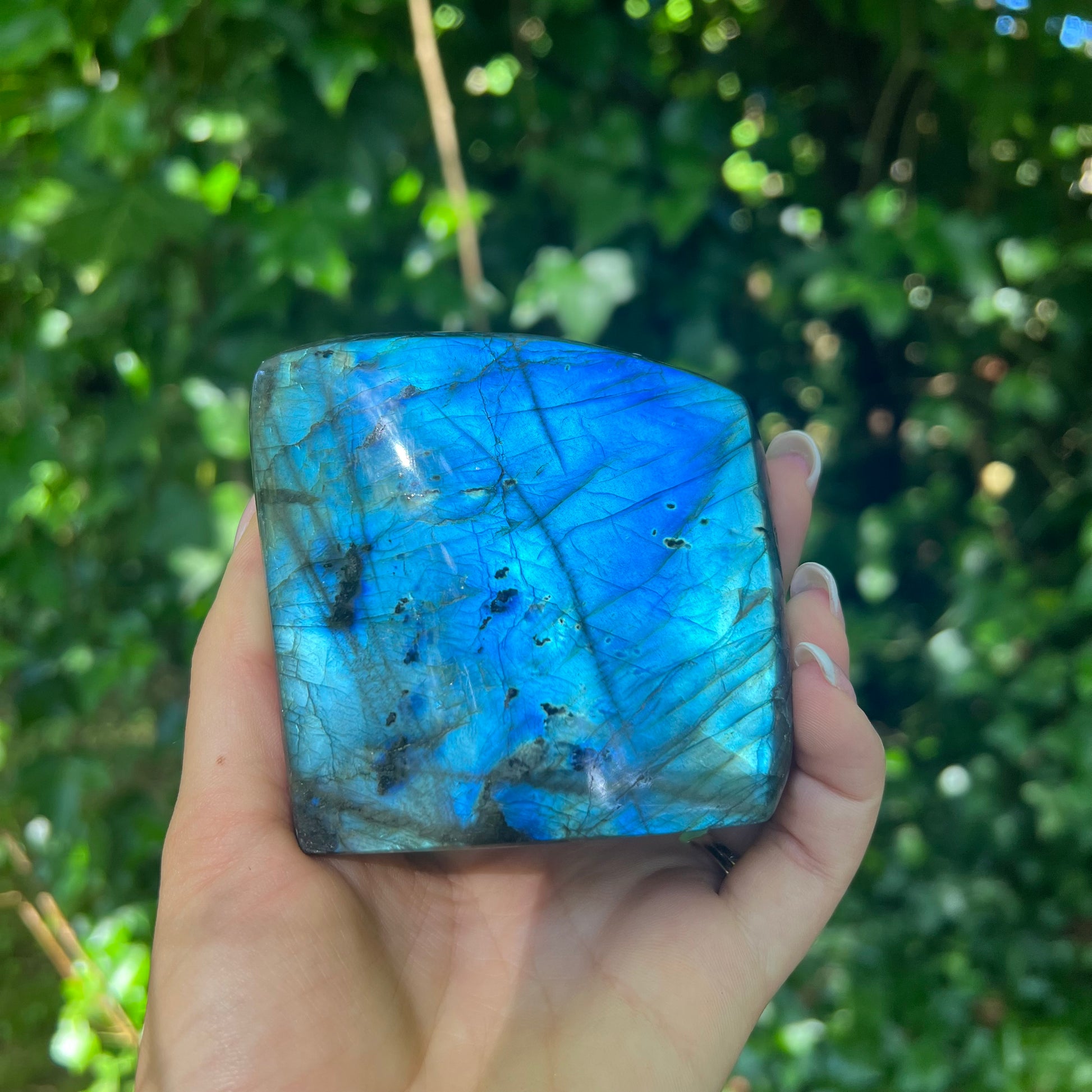 Labradorite Free Form (#1MTT) - Simply Affinity
