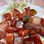 Carnelian Tumble Stone (1 piece intuitively chosen) - Simply Affinity