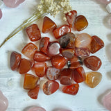 Carnelian Tumble Stone (1 piece intuitively chosen) - Simply Affinity
