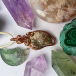 Wire-Wrapped Ammonite Pendant - Simply Affinity