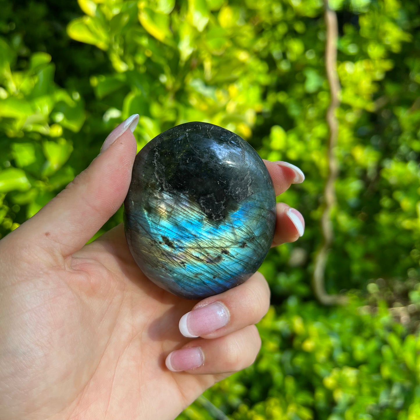 Labradorite Palm Stone (#25) - Simply Affinity