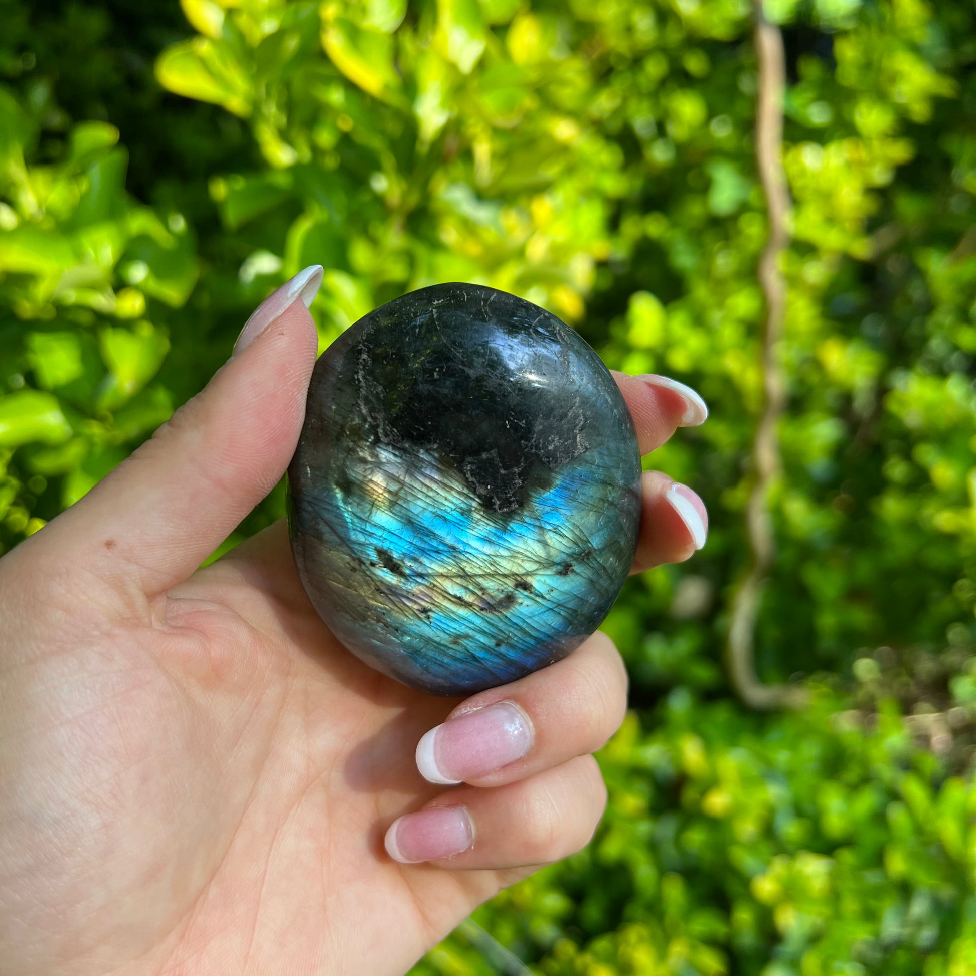 Labradorite Palm Stone (#25) - Simply Affinity