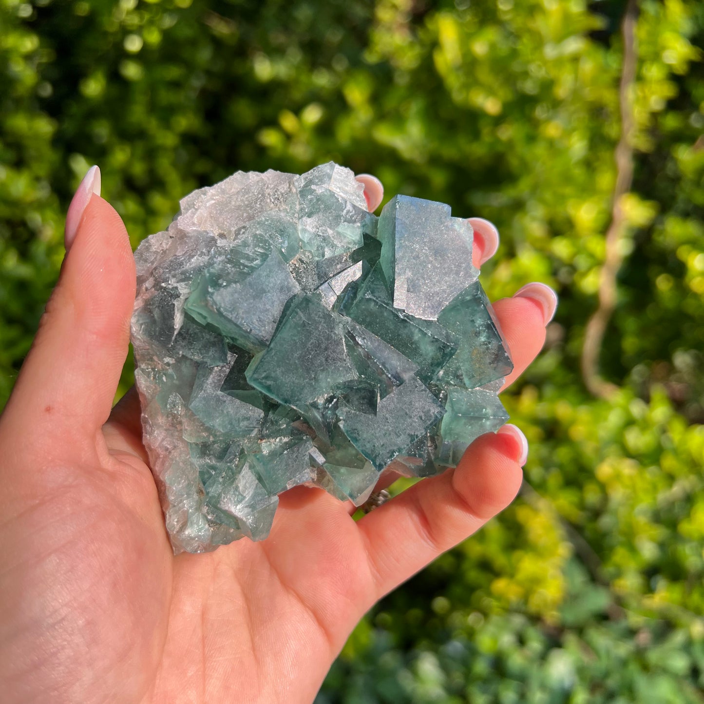 Raw Cubic Fluorite Cluster (#12) - Simply Affinity