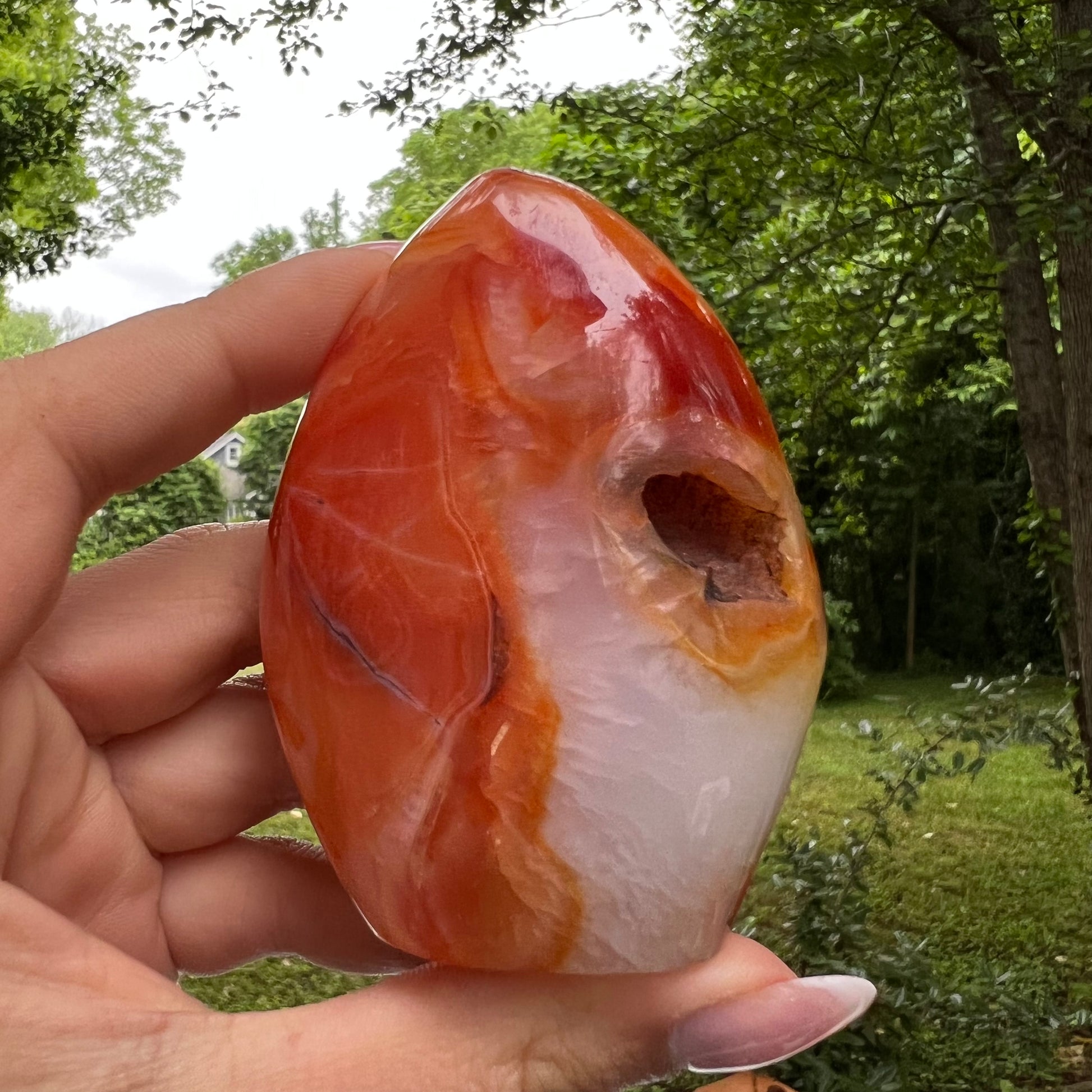 Carnelian Free Form (#5) - Simply Affinity