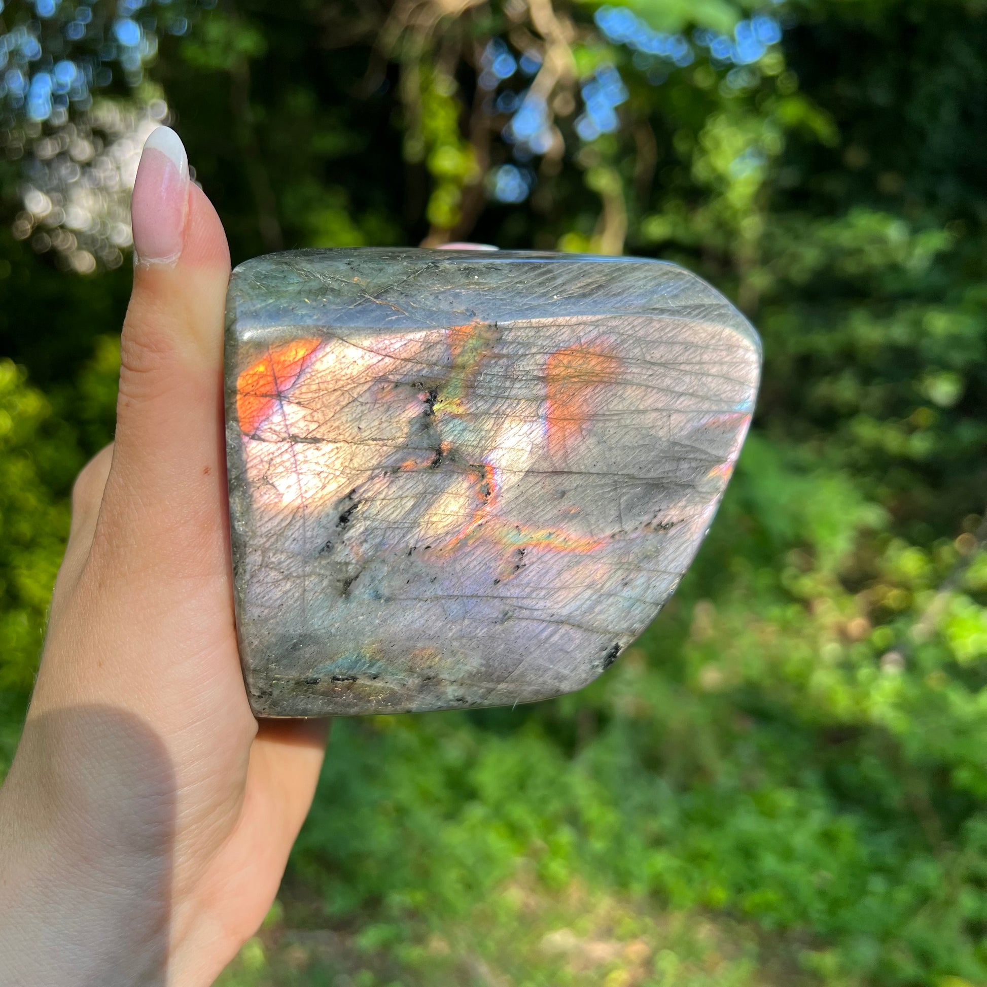 Labradorite Free Form (#9MTT) - Simply Affinity
