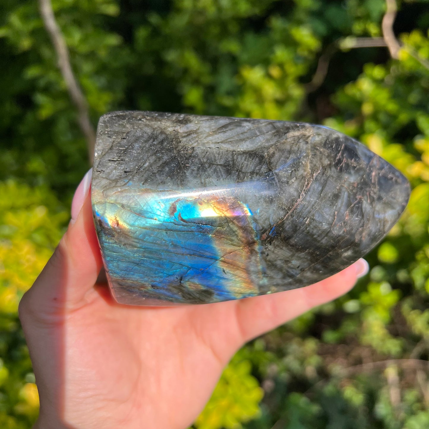 Labradorite Free Form (#5MTT) - Simply Affinity