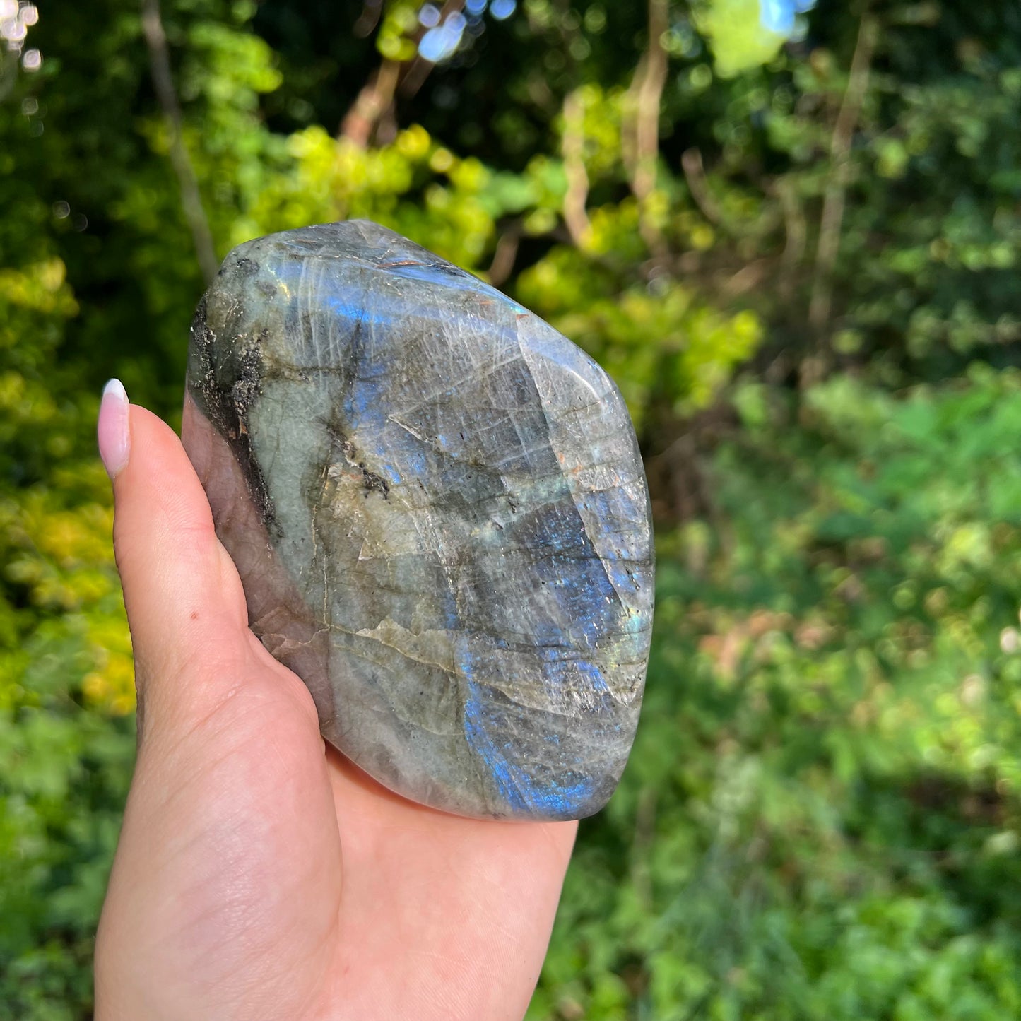 Labradorite Free Form (#9MTT) - Simply Affinity