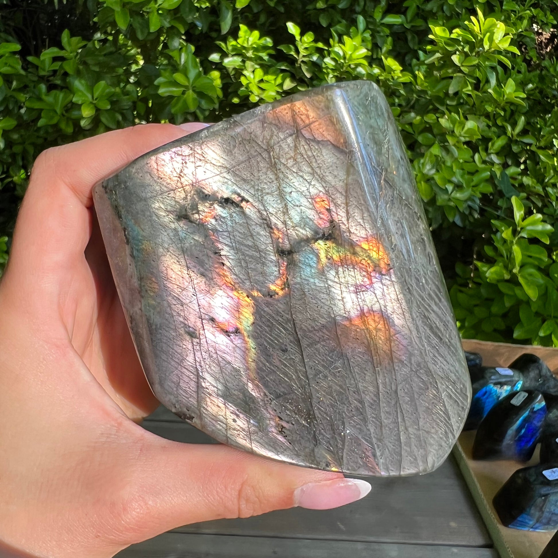 Labradorite Free Form (#9MTT) - Simply Affinity