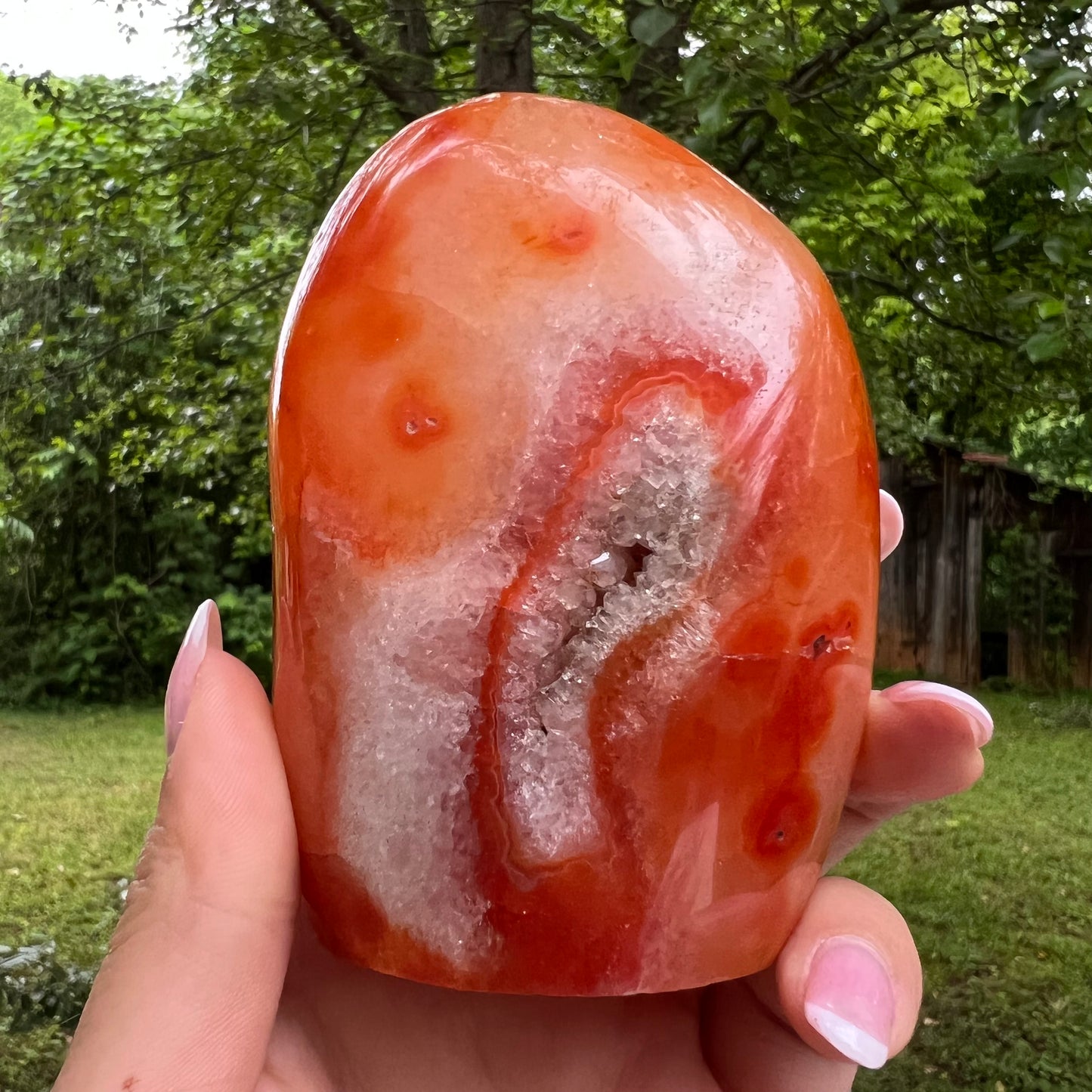 Carnelian Free Form (#4) - Simply Affinity
