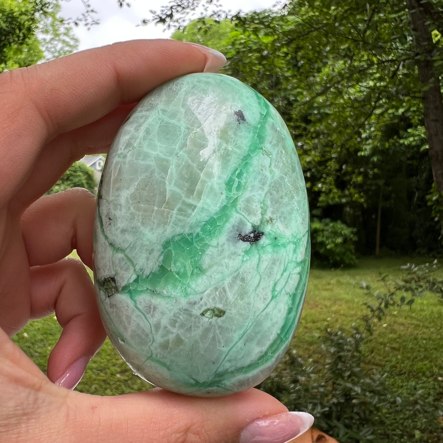 Garnierite Palm Stone (#9) - Simply Affinity