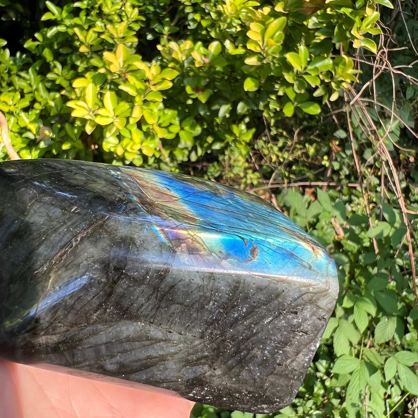 Labradorite Free Form (#5MTT) - Simply Affinity