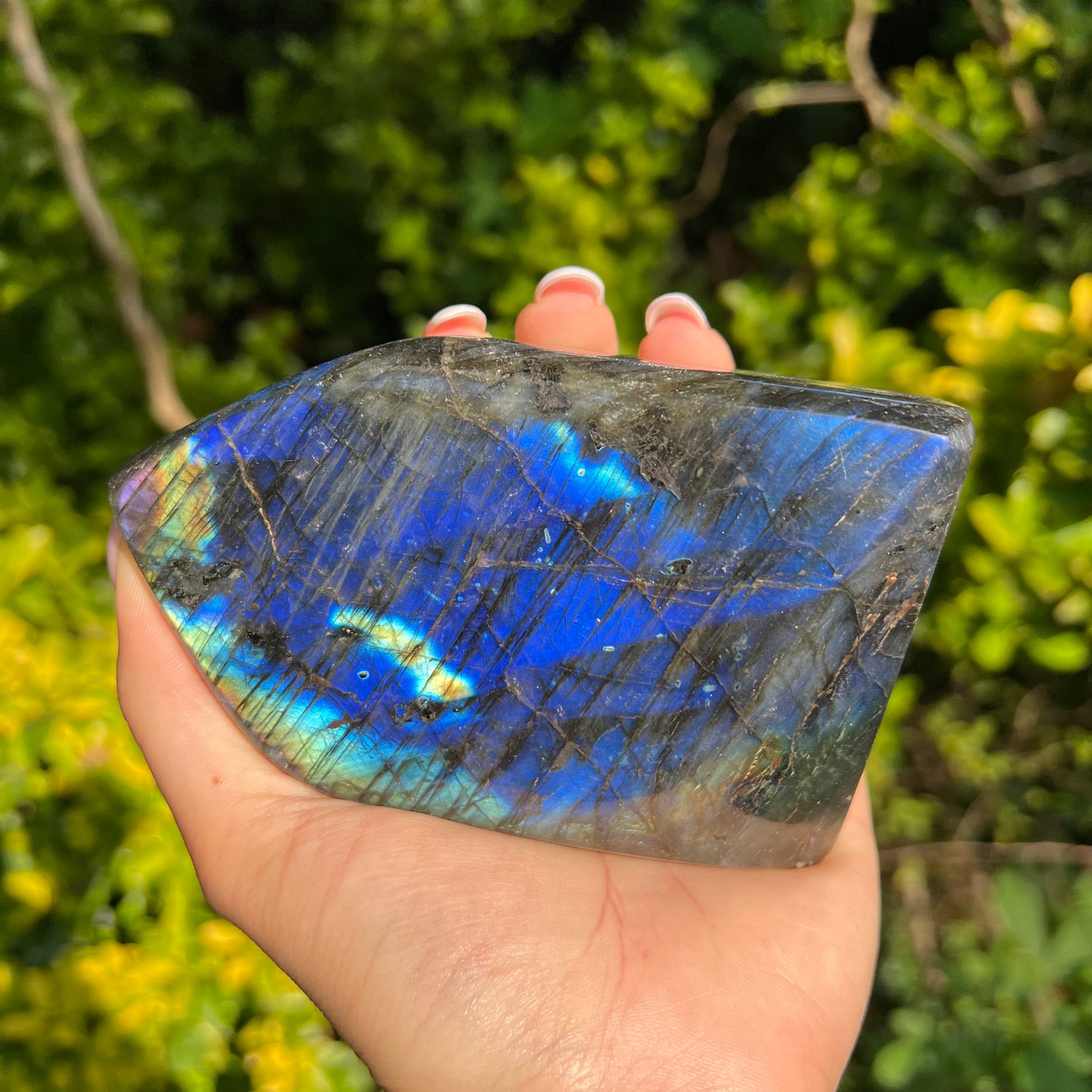 Labradorite Free Form (#5MTT) - Simply Affinity