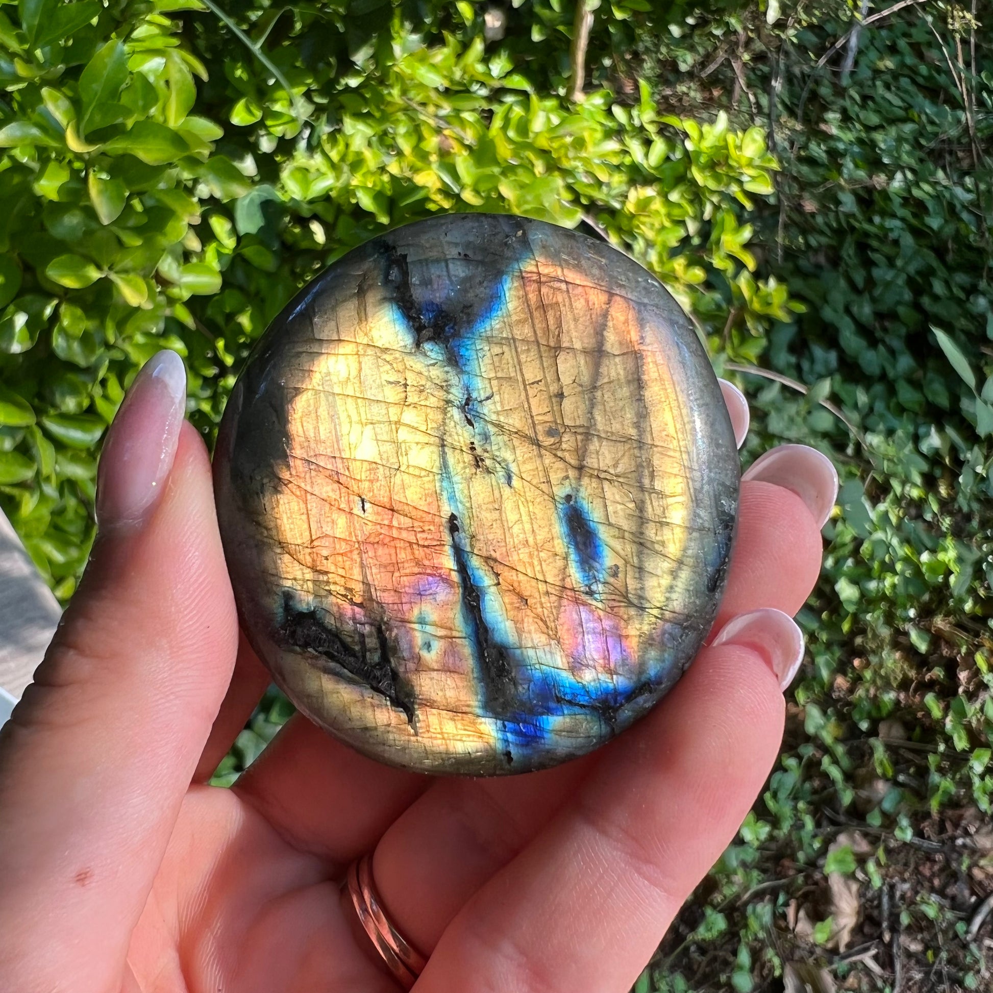 Labradorite Palm Stone (#310) - Simply Affinity