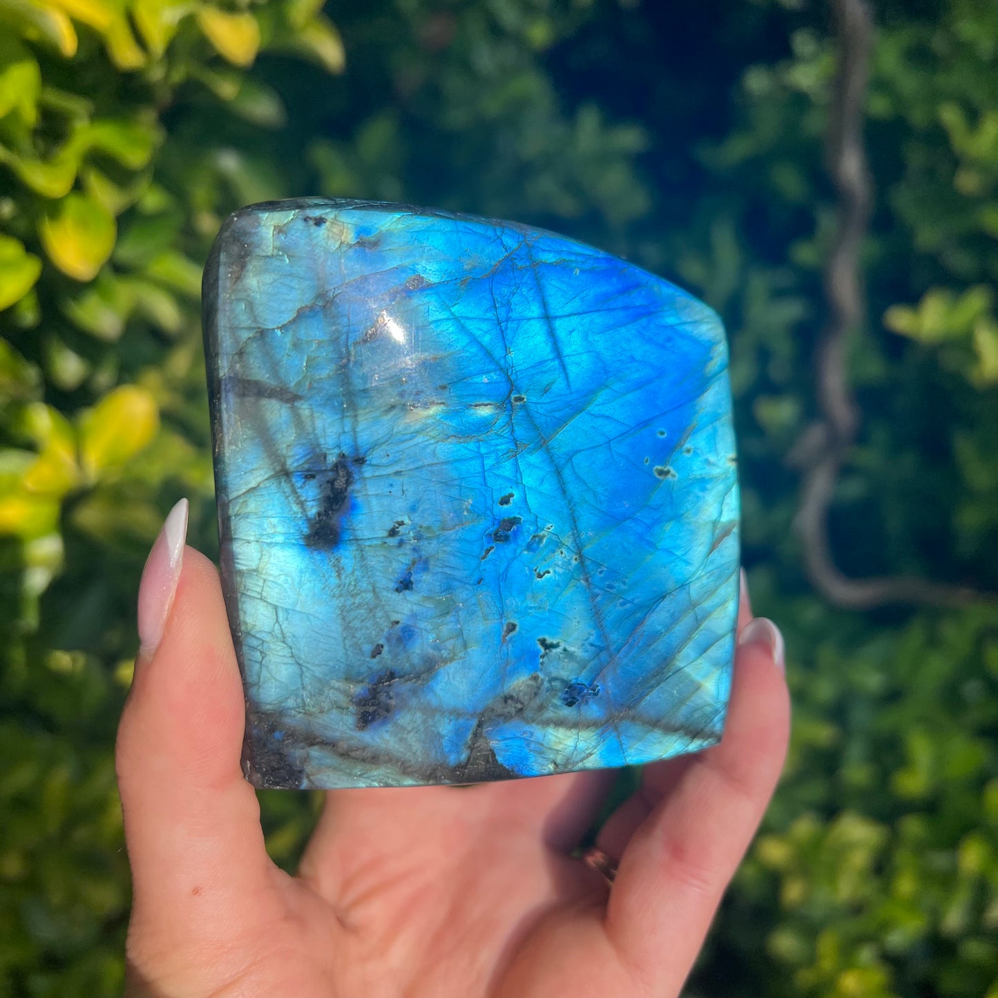 Labradorite Free Form (#1MTT) - Simply Affinity