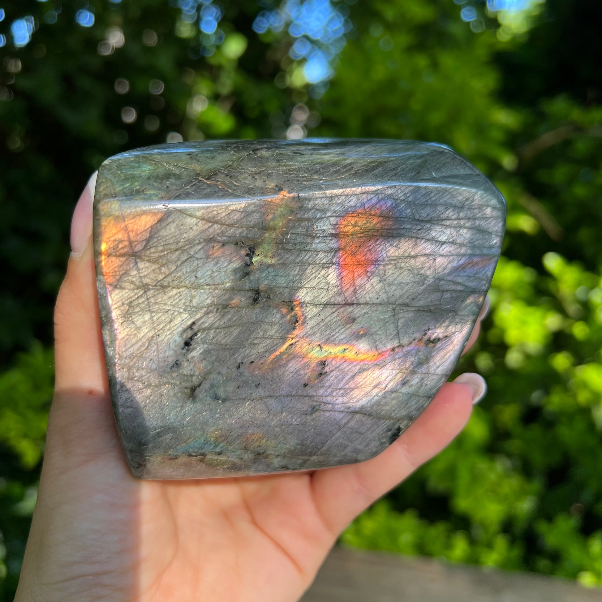 Labradorite Free Form (#9MTT) - Simply Affinity